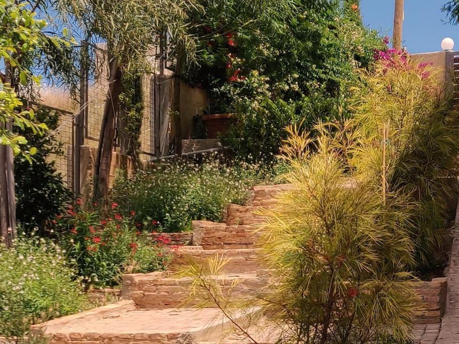 Summer House With A Pool Near Sea, Port & Airport Apartment Rafína Exterior photo